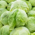 Tajna futoškog kupusa: Kako su ratari uspeli da razviju njegovu otpornost u doba suše i klimatskih promena