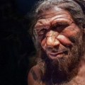 Otkriće koje menja ljudsku istoriju: Neandertalci su bili sposobni da stvore vatru pre 400.000 godina