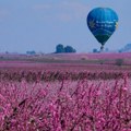 U padu balona u Nevadi više ljudi teško povređeno