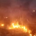 Veliki požar kod Deliblatske peščare: Gori šuma, vatrogasci na nogama! (video)