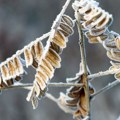 Jutro sa kišom, temperatura u minusu, na planinama sneg: Kakvo nas vreme danas očekuje