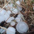 Olujno nevreme praćeno gradom probudilo Šumadince (FOTO, VIDEO)