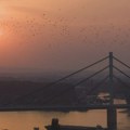 Novi Sad na vodi: Zauzimanje javnih površina ili “hektar i po zelenila”? (VIDEO)