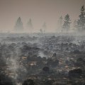 Požar u prirodnom rezervatu u Belgiji: Zahvaćeno 3.000 hektara, avioni i helikopteri prizemljeni zbog vremena