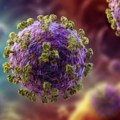 Zaraza se proširila na Makedonce, umrlo pet osoba: Virus pravi haos u Evropi, posledice su jezive