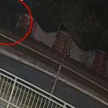 Pojavio se novi snimak incidenta sa Šapićem: Na YouTubeu zapis sa nadzornih kamera