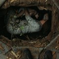 „Dete noći” od danas u bioskopima