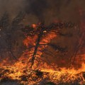 Izgorelo telo stočara pronađeno na ostrvu Eviji, treća žrtva vatrene stihije u Grčkoj