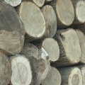 Kubik drva od 6.500 dinara, ugalj jeftiniji nego prošle godine