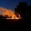 Požar u Laćarku: Buktinja u dvorištima kuća, vatra se širi, vatrogasci u borbi sa stihijom