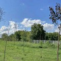 Alarmantna ogoljenost terena: Srednji Banat bez plana i rešenja za nedovoljnu pošumljenost