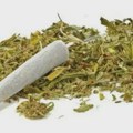 Nekad kornišoni, danas marihuana: Da li su uhapšeni mogli sami da organizuju nabavku i distribuciju toliko droge