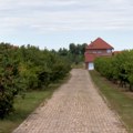 Да ли је укрупњавање пољопривредних поседа, пут до квалитетније производње и веће зараде?