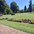 Velika zainteresovanost penzionera za vaučere: "U prvih sat i po vremena primljeno 22.272 zahteva"