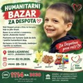 Da mali Despot otputuje na lečenje: Humanitarna akcija kod Rudarske česme