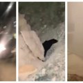 Srušeni plafoni, razvaljena kola, ljudi na ulicama Panika posle jakog zemljotresa dok još nije ni svanulo (video)