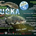 Jubilarna peta „Negotinska bućka“ – Kusjak 2025.