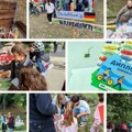 Kamenički osnovci na ”dunavskoj ruti” u Kameničkom parku Deca i roditelji zajedno u humanitarnoj misiji (foto, video)