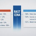 Međugodišnja inflacija u Srbiji u novembru: U kojim grupama je zabeležen rast cena?