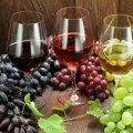 Šta donosi novi zakon o vinu - Proizvođačima veća zaštita a vinarstvu brži razvoj
