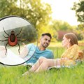 10 pravila koja mogu da vas zaštite od krpelja ovog leta: Prevencija je najbolja, a evo šta da radite ako pronađete ovog…