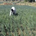 Najmanje 24 osobe ubijene u napadu bande na severozapadu Nigerije