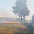 Ministarstvo poljoprivrede apeluje da se ne pali strnjika zbog rizika od požara