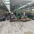 Analiza meda, povrća i grožđa na kragujevačkim pijacama