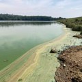 Pojavile se cijanobakterije u nekim jezerima u Sloveniji, mogu biti vrlo opasne