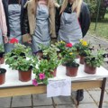 Ђаци продају цвеће у хуманитарне сврхе: Диван гест ученика из Новог Сада, ево како скупљају средства за помоћ!