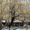 Kućni pritvor za trojicu optuženih članova PSG-a u Novom Sadu