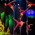 Ulaznice za najveću svetsku atrakciju Cirque du Soleil i predstavu "OVO" od danas u prodaji