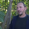Brzorastuće drvo poreklom iz Kine sve popularnije - zbog lepote, ali i kvalitetne drvne građe