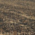 Apel građanima Zapadnobačkog okruga: Povećana opasnost od požara na otvorenom, ne palite strnjiku!