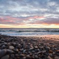 Kamenčići sa plaže su možda lep besplatan suvenir, ali ne bi trebalo da ih uzimate