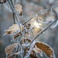 Pred Novosađanima sunčana, ali ledena sedmica