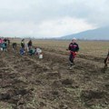 Posadili preko 23.000 sadnica: Uspešno pošumljavanje nizijskog dela Vršačkih planina