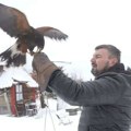 Љубав према соколарству вратила га на село