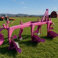 "Došao kupac, gleda, hoće-neće, pa pita zašto je Pink! A onda mu sin ovako rekao..." Hit na NS Sajmu poljoprivrede - roze…
