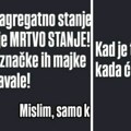 Uhapšen zbog ugrožavanja sigurnosti: Pretio predsedniku Republike i njegovoj porodici na društvenoj mreži