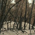 Хиљаде хектара под пепелом: Колика је штета у Делиблатској пешчари након пожара