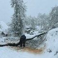 Radnici Elektrodistribucije od jutros na terenu, sneg ponovo ostavio bez struje Priljepoljska sela