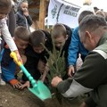 Sadnjom smrča obeležen jubilej „Srbijašuma“ u Ivanjici (VIDEO)