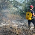Kragujevački vatrogasci pomažu u gašenju požara u Zaječaru i Knjaževcu (FOTO)