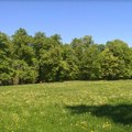 Deo Kameničkog parka spreman za Prvi maj, prostor gde je klizište biće vidno obeležen