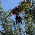 Jedan poginuo, drugi ostao da visi na drvetu Tandem padobranaca doživeo tragičan pad, vatrogasci: Rekao je da mu je ovo bio…