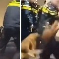 To je ta EU: Holandska policija prebija trudnu ženu u bolnici, zatim i njenog muža (video)
