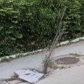 Rupa na putu koja je dobila ime po gradskom većniku