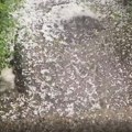 Veliko nevreme na severu Crne Gore: Grad tuče u okolini Bijelog Polja, a u Podgorici 52 stepena Celzijusa