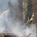 Evropa gori, a na Tiktoku opasan trend: "Ko će zapaliti najveću vatru?"